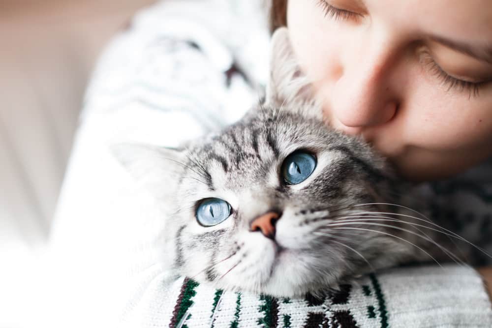 Woman Kissing Cat — Vet Services in Cooroy, QLD